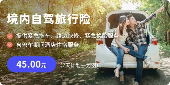 境内旅行险